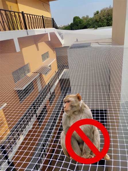 Monkey Safety Nets