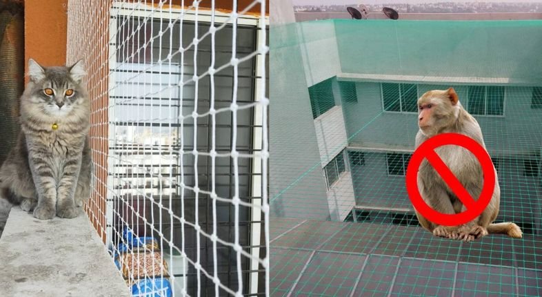 Safety Nets Overview